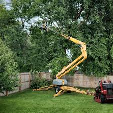 Best Firewood Processing and Delivery  in Dayton, IN